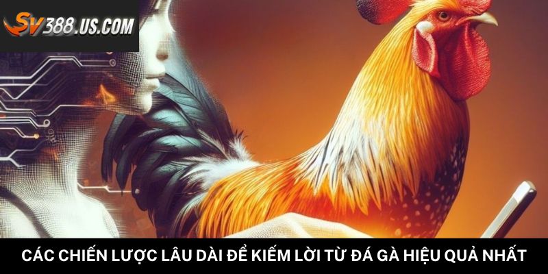 Các Chiến Lược Lâu Dài Để Kiếm Lời Từ Đá Gà Hiệu Quả Nhất