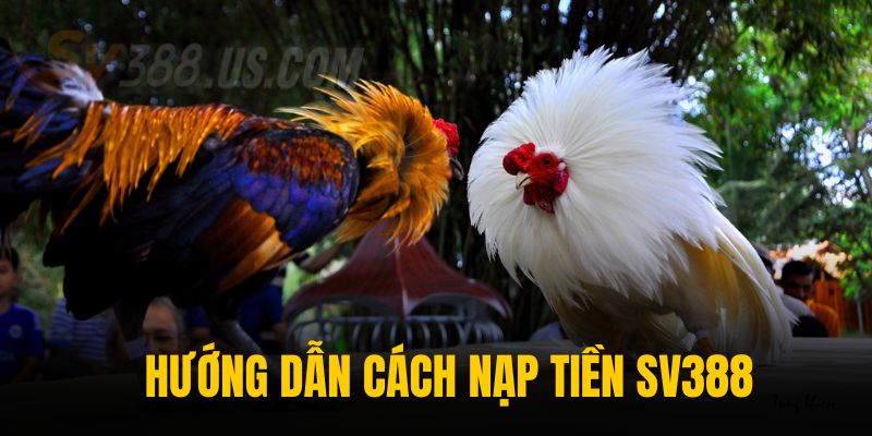 Những Cách Nạp Tiền SV388 – Giao Dịch Nhanh Chóng, An Toàn