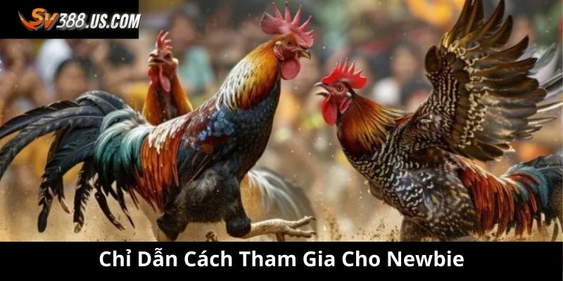 Chỉ dẫn cách tham gia cho newbie