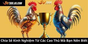 Chia Sẻ Kinh Nghiệm Từ Các Cao Thủ Mà Bạn Nên Biết