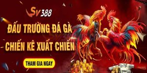 Đá Gà SV388 | Ưu Điểm Nổi Trội & 3 Sản Phẩm Chủ Lực Siêu Hot