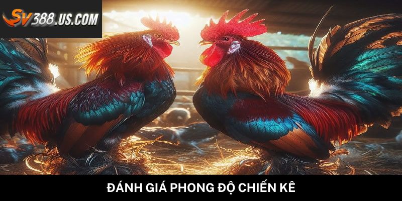 Đánh giá phong độ chiến kê