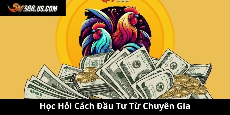 Học hỏi cách đầu tư từ chuyên gia