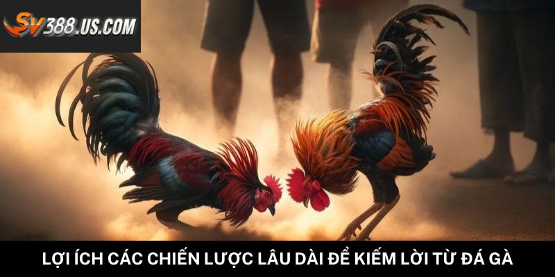 Lợi ích các chiến lược lâu dài để kiếm lời từ đá gà