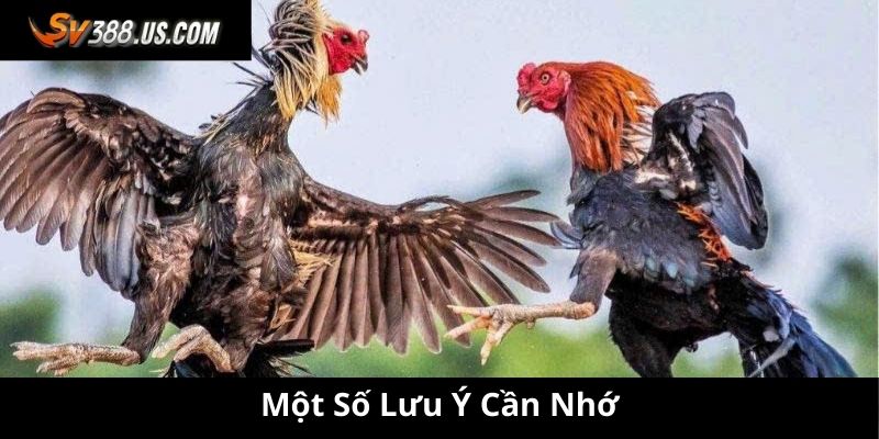 Một số lưu ý cần nhớ