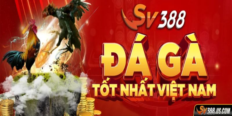 SV388 là sân chơi được ưa chuộng