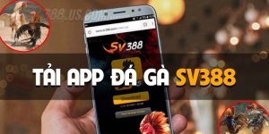 Tải App Đá Gà SV388 - Hướng Dẫn Chi Tiết Từ A Đến Z