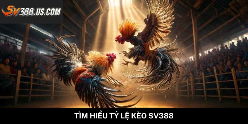 Tìm hiểu tỷ lệ kèo SV388