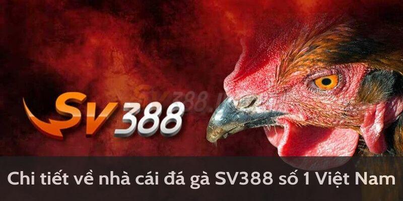 Nhà Cái Đá Gà SV388 | Gợi Ý Top 3 Loại Hình Hot Nhất Nên Thử Tổng quan nhà cái đá gà SV388