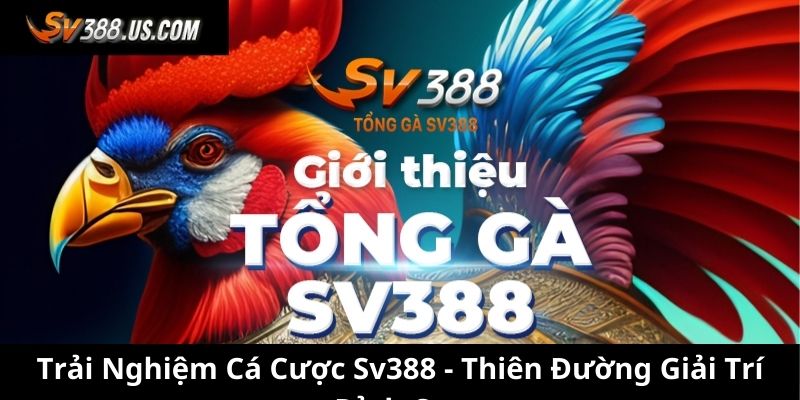 Trải Nghiệm Cá Cược SV388 - Thiên Đường Giải Trí Đỉnh Cao