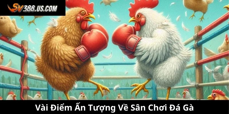 Vài điểm ấn tượng về sân chơi đá gà