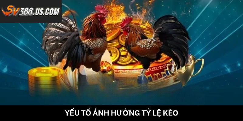 Yếu tố ảnh hưởng tỷ lệ kèo