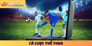 Cá Cược Thể Thao – Sân Chơi Cực Cháy Cho Tín Đồ Đam Mê