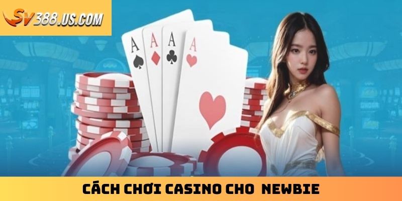 Cách chơi casino cho newbie