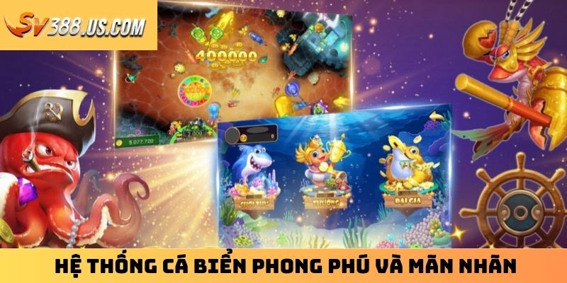 Hệ thống cá biển phong phú và mãn nhãn