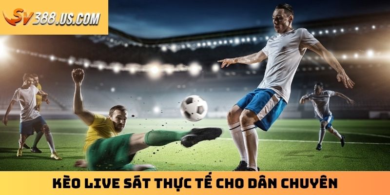 Kèo live sát thực tế cho dân chuyên