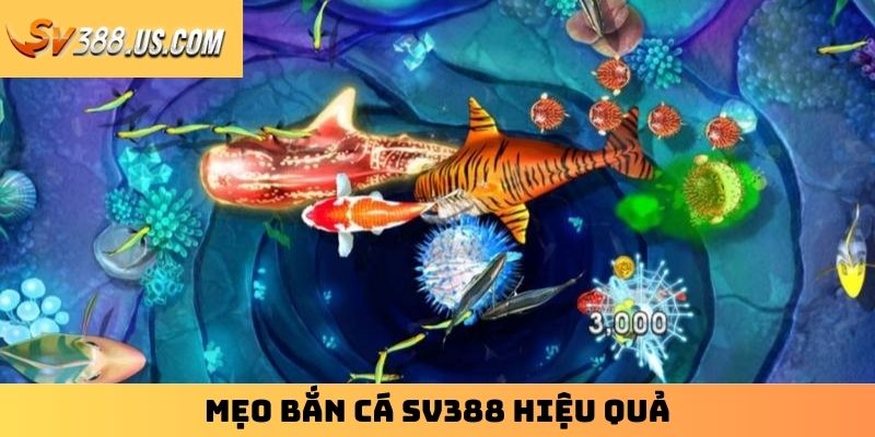 Mẹo bắn cá SV388 hiệu quả