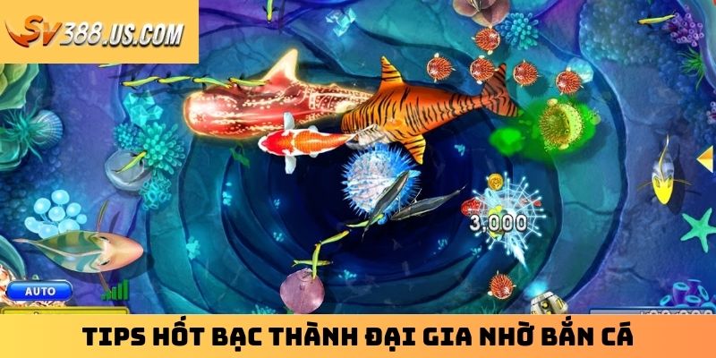 Tips hốt bạc thành đại gia nhờ bắn cá